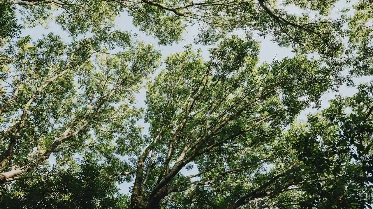 32种玉茎入玉门正确方法